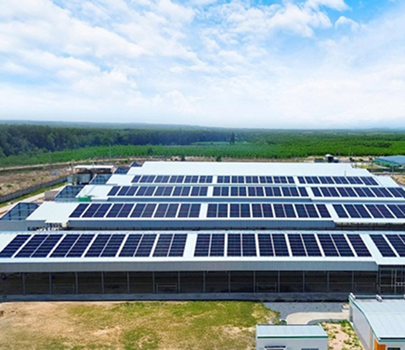 Giải pháp điện mặt trời lưu trữ 51,2kWp cho chung cư mini 